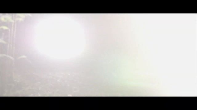 Iluminacion HELLA Black magic LED смотреть онлайн