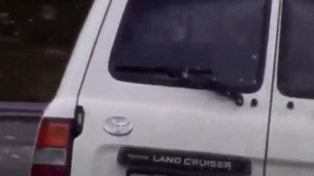 Самые Везучие Люди, Снятые на Камеру смотреть онлайн