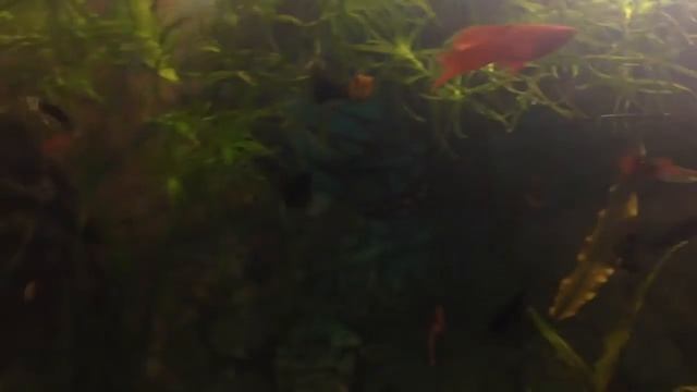 trim 0F82D3BA 5D5D 439E A2E7 208BCCC17EF7 смотреть онлайн