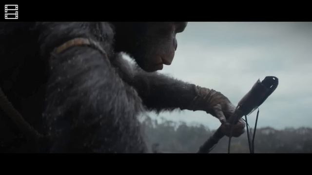 Review Phim KINGDOM OF THE PLANET OF THE APES (Hành Tinh Khỉ: Vương Quốc Mới)
