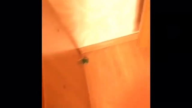 Уезжаю из Анапы смотреть онлайн