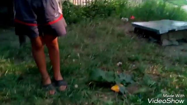 Пепси-кола+5таблеток ментоса смотреть онлайн