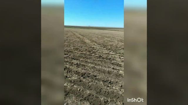 к700 с сеялками алькор смотреть онлайн