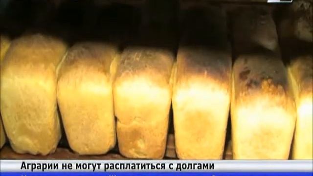 Костанайским аграриям не удалось погасить долги прошлого неурожайного года смотреть онлайн