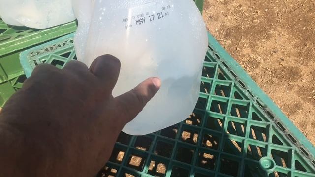 204 vs 223 vs 22-250 vs 17 hornet when it comes to avoiding splash hits смотреть онлайн