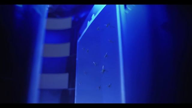 Sharp Air Purifier With Mosquito Catcher FPGM30LB смотреть онлайн