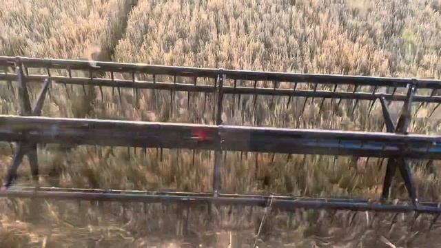 Case 7250 AFS Harvest Command™ смотреть онлайн