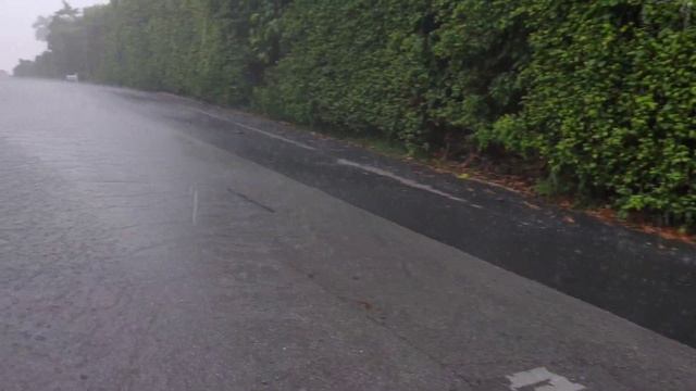 Walking in Heavy Rain - Palm Beach, Florida - 4K ASMR смотреть онлайн