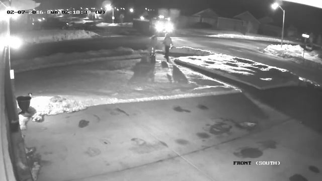 Party Bus смотреть онлайн