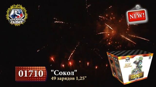 Сокол смотреть онлайн
