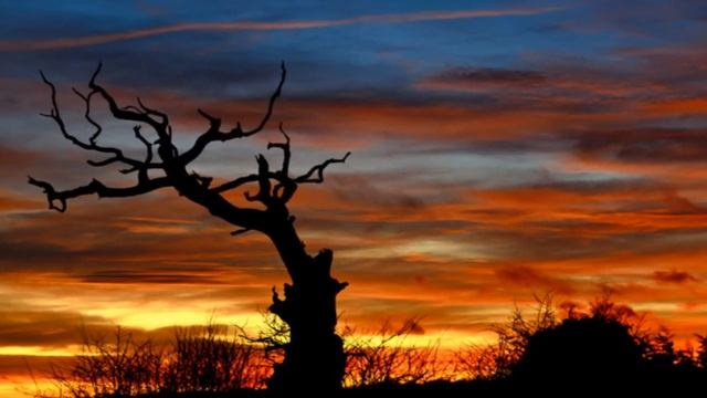 The Great Conjunction 2020 - Jupiter and Saturn align to form a rare ‘Christmas Star’ смотреть онлайн