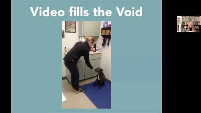 RooLive: Career Webinar - Virtual Vet Visits, The 4 Cs of Success смотреть онлайн