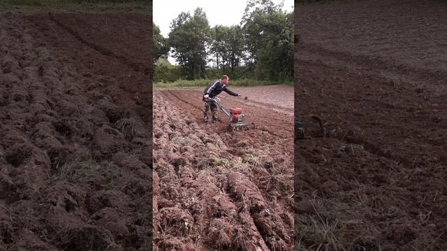 10 октября 2020 г. смотреть онлайн