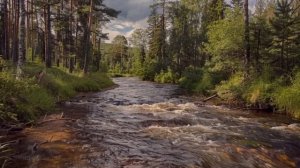 Пока мама была в командировке отчим принес падчерицу к женскому доктору. Врачи увидев ЭТО онемели..