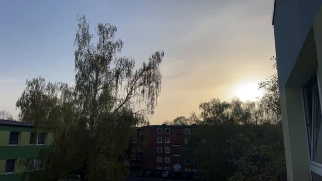 СОЛНЕЧНОЕ ЗАТМЕНИЕ ПРЯМО СЕЙЧАС 🇩🇪 смотреть онлайн