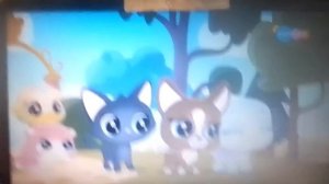 Маленький зоомагазин тайный мир питомцев 4 серия