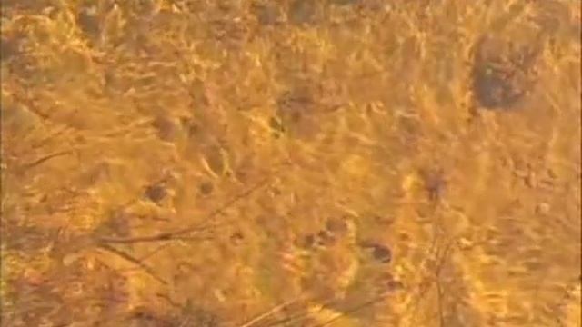 Revelations Gliese 581 - Lamb Trumpets - 2 of 6 смотреть онлайн