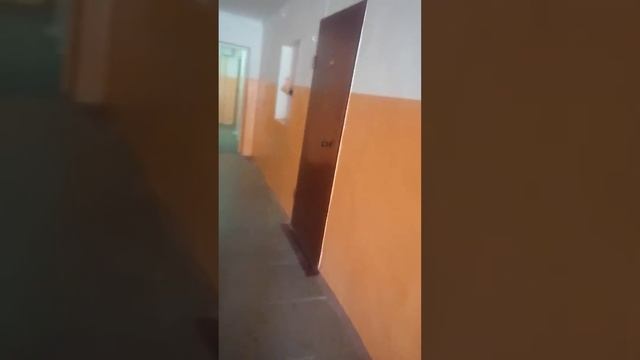 Волгоградская 70 264 смотреть онлайн