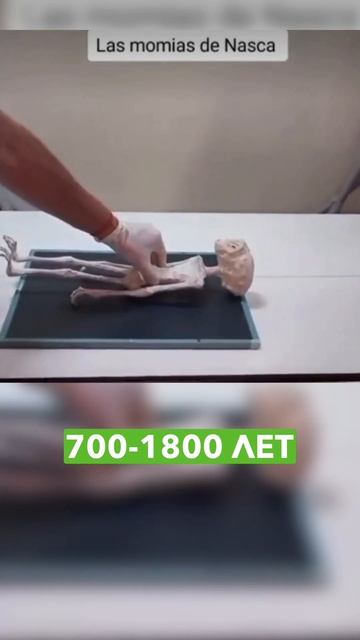 А вы в это верите? #сша #америка #нло смотреть онлайн