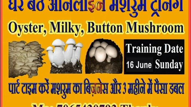 घर बैठे ऑनलाइन मशरुम ट्रेनिंग, Oyster, Milky & Button Mushroom Training смотреть онлайн