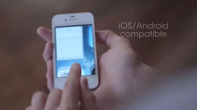 The Core Wireless Speaker System 103802928 смотреть онлайн