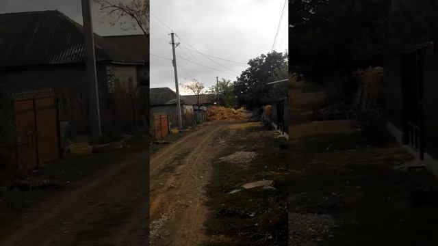 14 октября 2017 г. смотреть онлайн