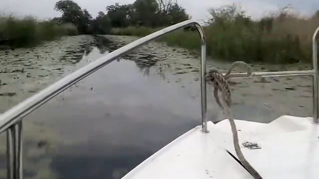 MERCURY 125 KM PROFESSIONAL TEAM OF DRIVERS :-)