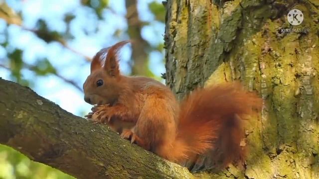 Ирина Костылева. Городская СУМАСШЕДШАЯ, позорит своих ДЕТЕЙ | Правдивая Ольга 