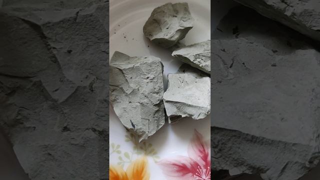 Кембрийская глина/Cambrian Clay