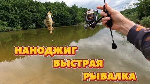 Наноджиг. Быстрая рыбалка.