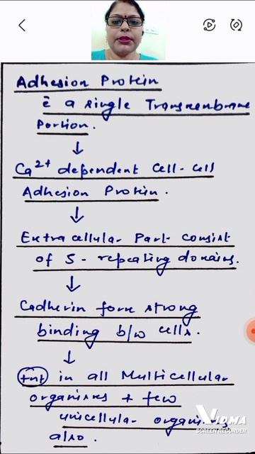 CADHERIN MOLECULES (FLOWCHART)#shorts