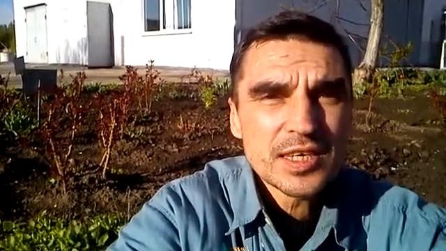 Заводской поэт, Александр Шестаков "Любовь серца хранитель" смотреть онлайн
