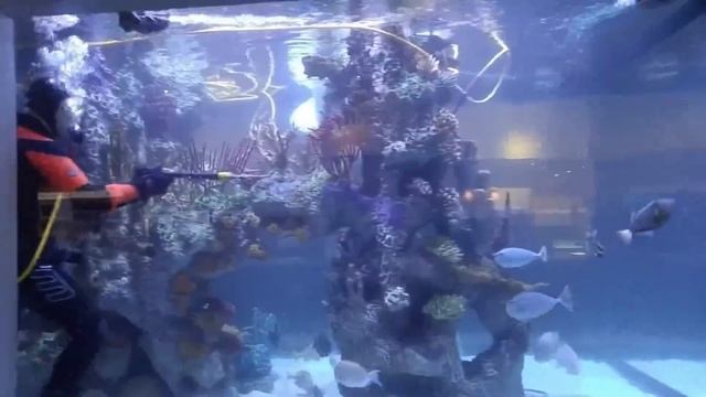 Магазин электроники📺🔌💻Водолаз в аквариуме с рыбками 🐟🐡🐠 смотреть онлайн