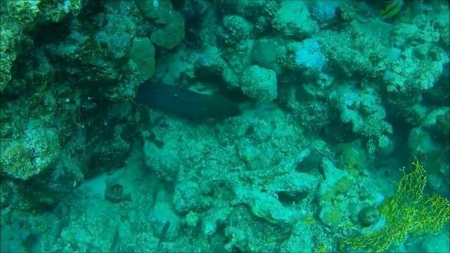 Ägypten 2013 Extra Divers Fayrouz смотреть онлайн