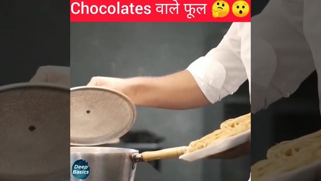 क्या है Chocolate cosmos ?😯🤔।। Facts of rare chocolate cosmos ।।Facts in Hindi।।DeepBasics।। смотреть онлайн