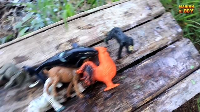 membersihkan jerapah triceratops t-rex sapi bebek angsa singa gorilla harimau kuda kambing kerbau смотреть онлайн