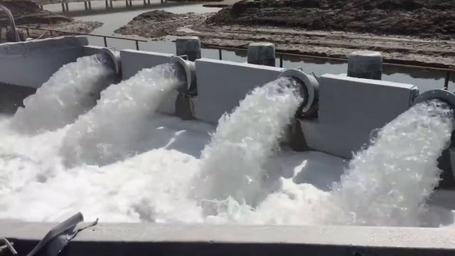 AP-202 VERTICAL AXIAL FLOW PUMP ( AP-202 ) смотреть онлайн