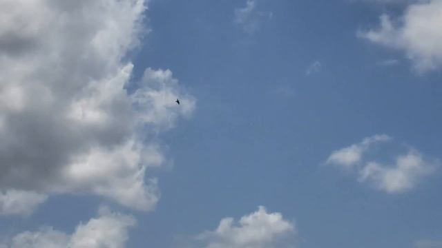 Freewing SU 35 re-Maiden 04-28-19 смотреть онлайн