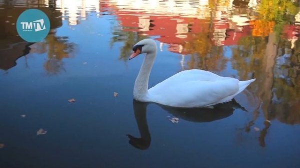 Флиза Назырова - Мин нинди бар, шундый булып калам