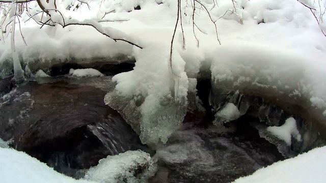 Nature 4K 167 👉 Nature Scene Video