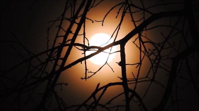 Moon смотреть онлайн