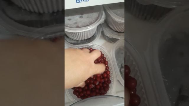 Замороженные овощи и ягоды на зиму. смотреть онлайн