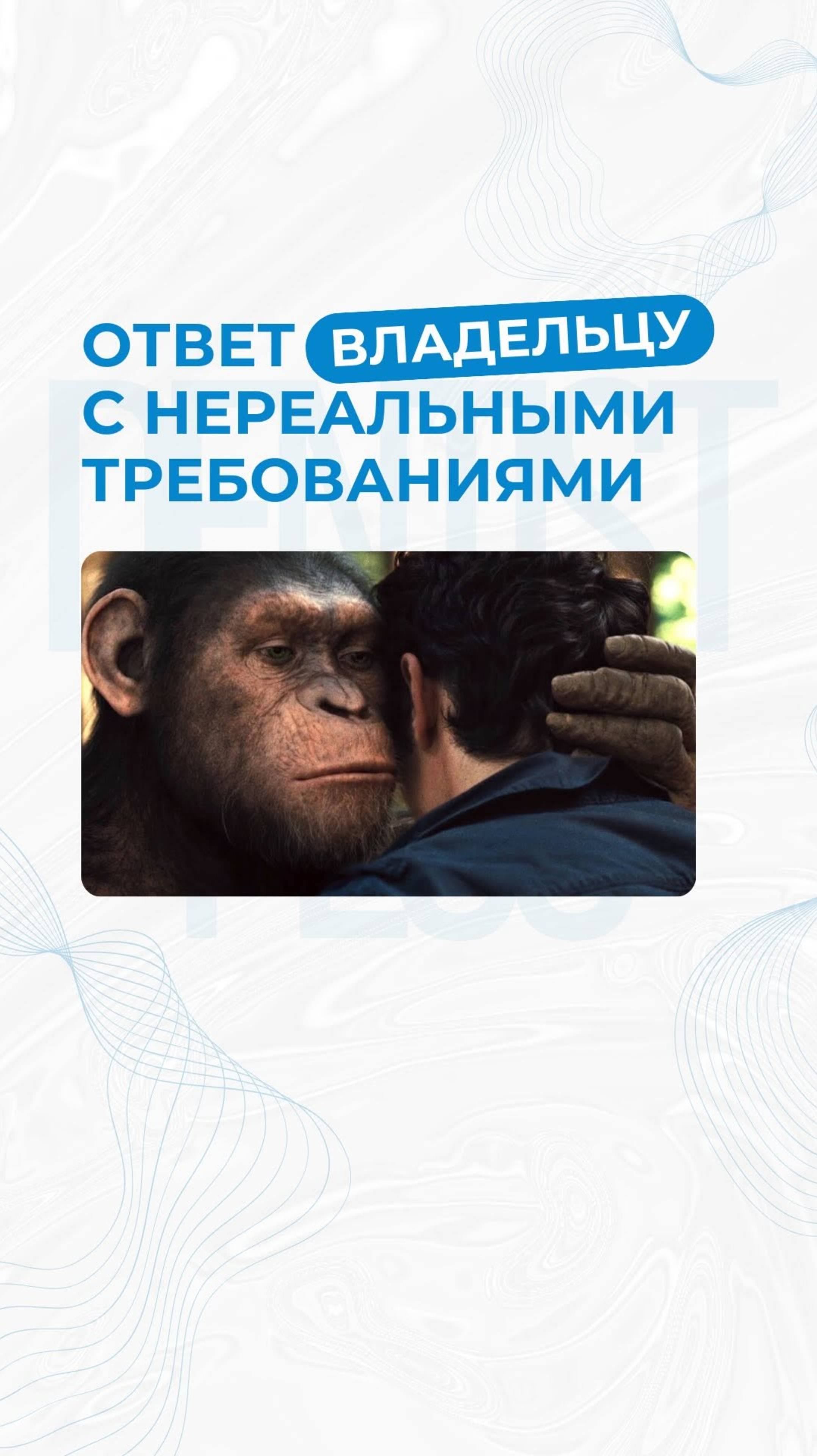 Когда владелец просит вручную найти и обзвонить пациентов смотреть онлайн