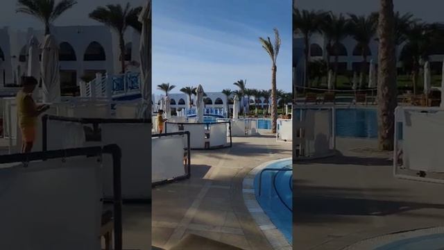 Hilton Marsa Alam Nubian Resort Main pool #shorts