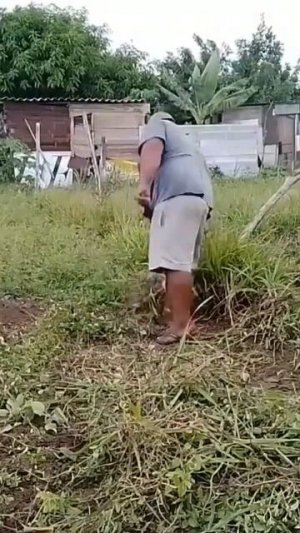 23 de março de 2023