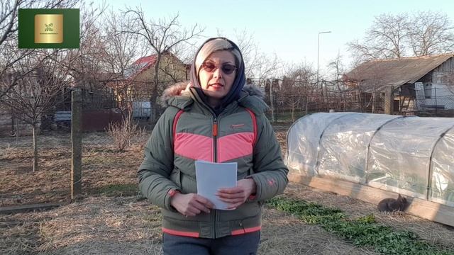 Folosirea pastilelor cu turbă pentru răsaduri/ cum putem semăna sute de semințe in doar 20 min смотреть онлайн