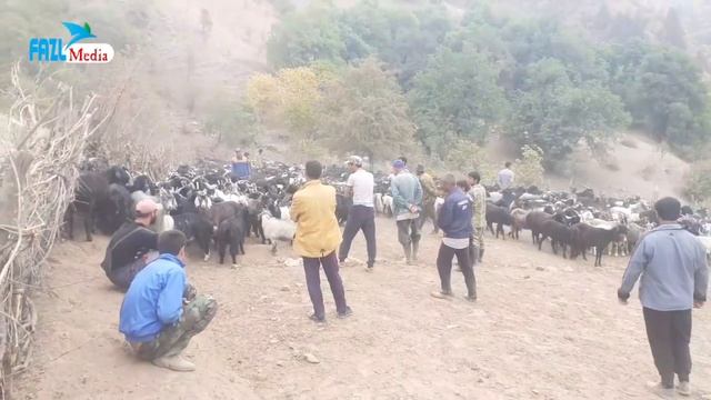 Сайру саёҳат ба куҳҳои Ромит ба назди чупонҳо./ Дараи Сайёҳии Ромит 2021.