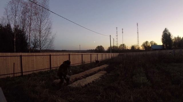 Деревня Соснино (посадка чеснока, подставка под электроплиту) смотреть онлайн