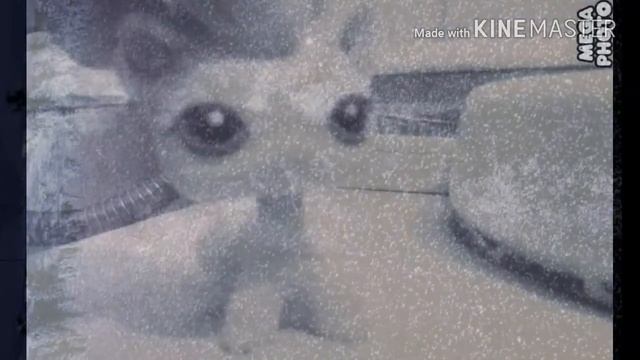 LPS: Music Video •Земля, Юпитер•