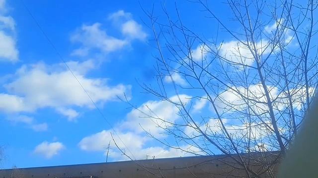 Красивая конвективная облачность и до +13°с в Москве 30.03.2024 смотреть онлайн